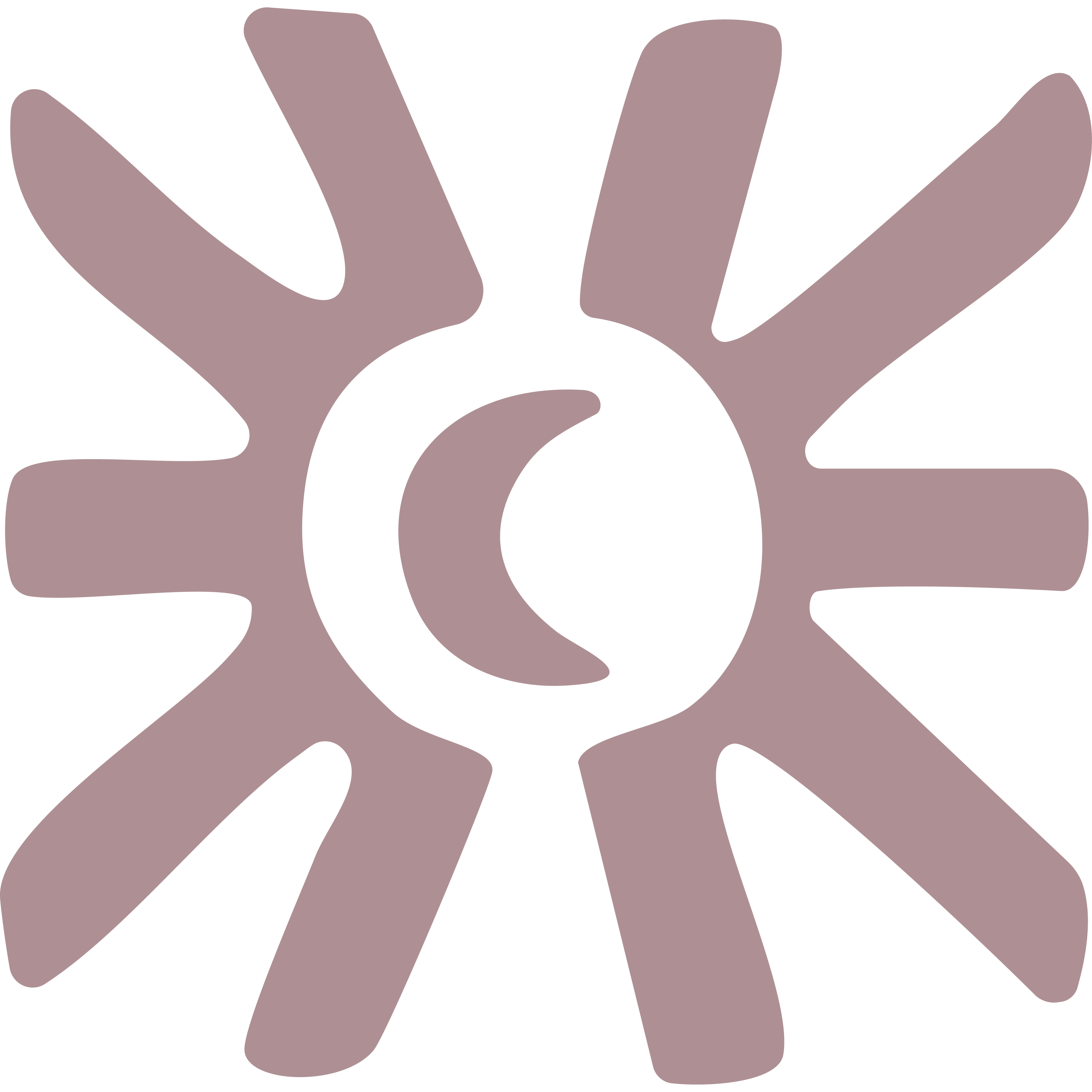 Illuminate Studios